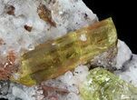 Apatite Crystals In Matrix - Durango, Mexico #43397-1